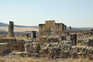 Volubilis