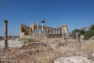 Volubilis