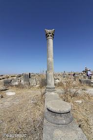 Volubilis