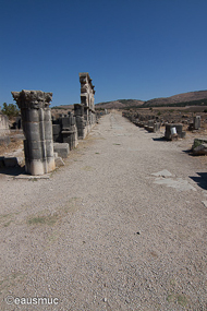 Volubilis