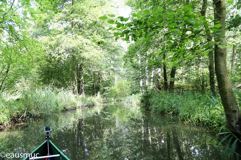 Spreewald