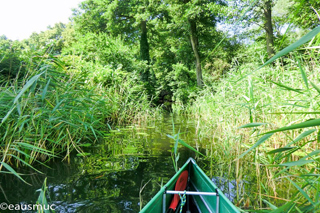 Im Seerosenkanal