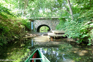 Im Seerosenkanal vor dem Damm