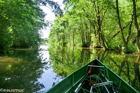 Im Seerosenkanal