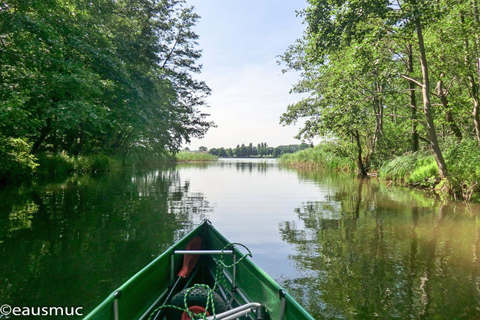 Im Seerosenkanal, im Hintergrund der Haussee