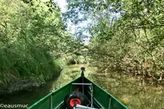 Tunnelfeeling unter Bäumen und Büschen