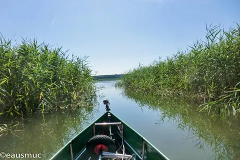 Im Schilfgürtel, Blick auf den See