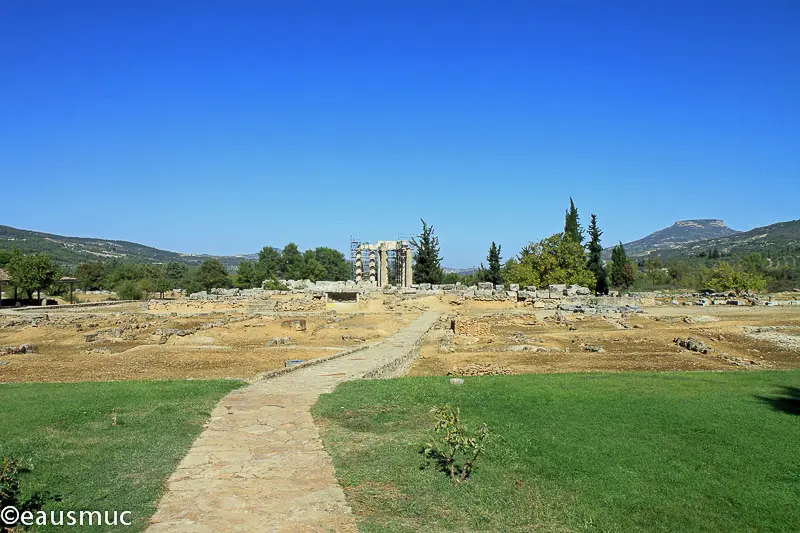 Nemea