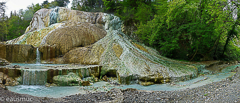 La Balena Bianca