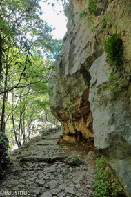 Paklenica Schlucht