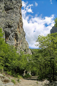 Paklenica Schlucht