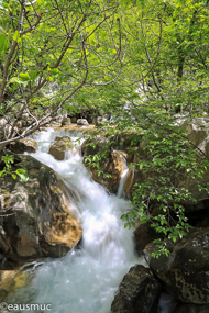 Paklenica Schlucht