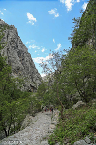 Paklenica Schlucht