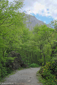 Paklenica Schlucht