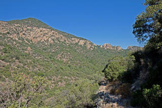 Scenery