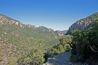 Scenery