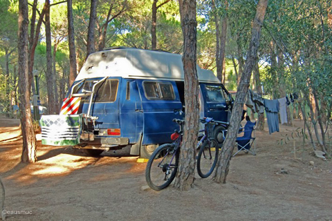 Bulli auf dem Campingplatz