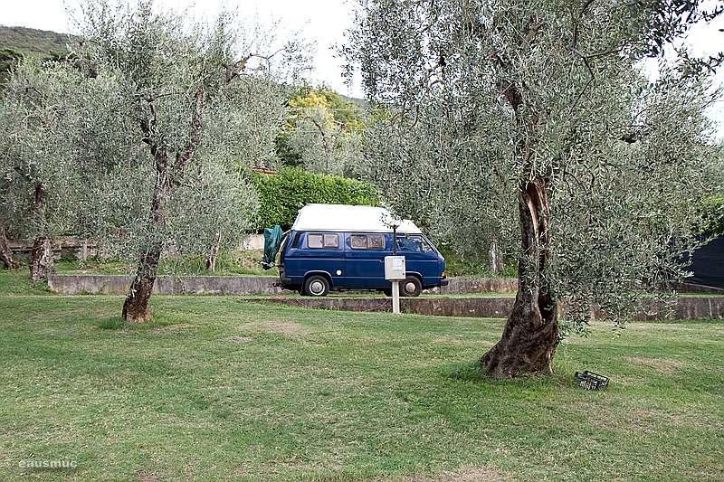 VW Bus am Campingplatz