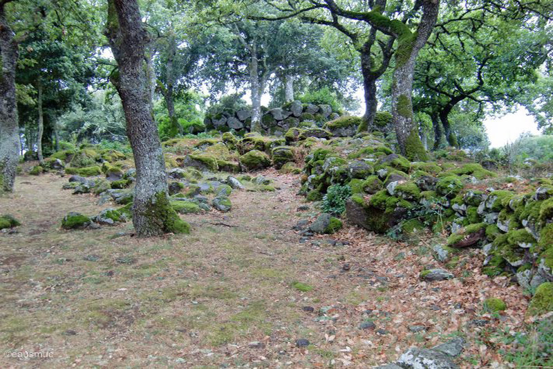 Nuraghe Tutturuddu