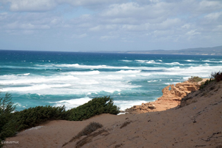 Dünen am Strand