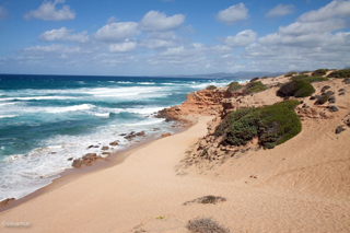 Dünen am Strand