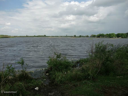 Lake Tohopekaliga