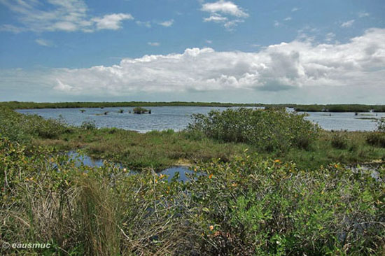 Merrit Island National Wildlife Refuge