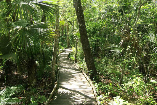 Auf dem Timucuan Trail