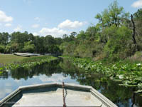 Im Kanal zwischen der Marina und dem Suwannee River