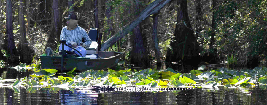 Angler auf dem Suwanee River