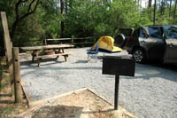 Campsite im Blackwater River SP