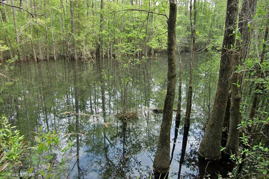 Kleiner Weiher