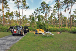 Campsite Long Pine Key Campground / Everglades NP