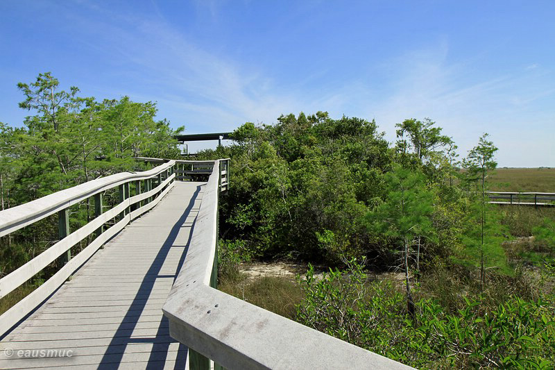 Pa-hay-okee Overlook