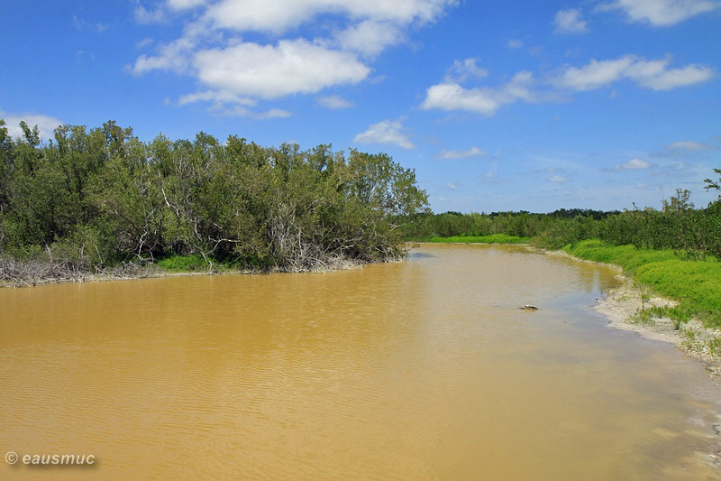 Eco Pond Trail