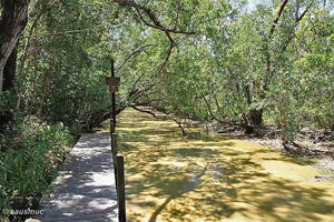 Homestead Canal am Bear Lake Trl.