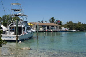 Motorboot auf den Keys