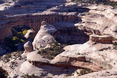 Natural Bridges