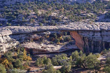 Natural Bridges