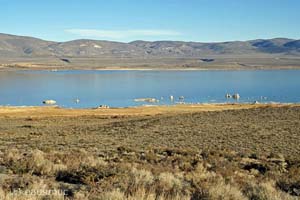 Mono Lake