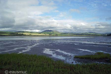 Tomales Bay