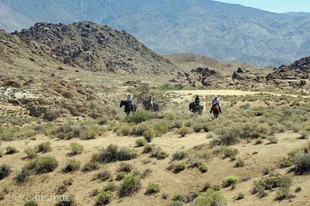 Reiter auf Pferden in den Alabama Hills