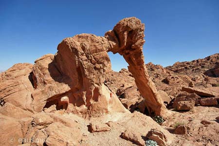 Elephant Rock, Valley of Fire