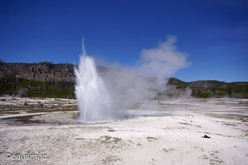 Geysir