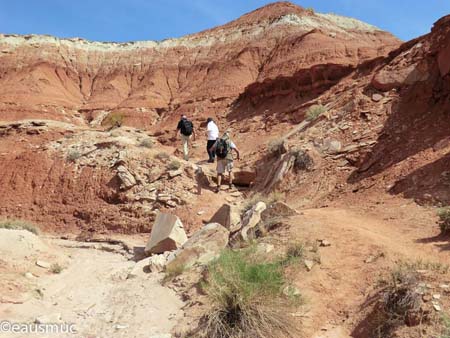 Trail zu den Toadstool Hoodoos