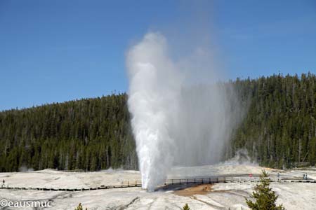 Beehive Geyser