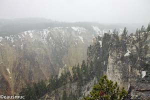 Grand Canyon of Yellowstone im Schneetreiben