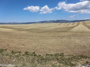 Landwirtschaftliche Fläche