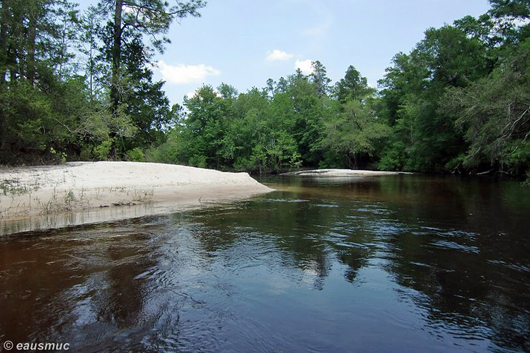 Auf dem Blackwater River