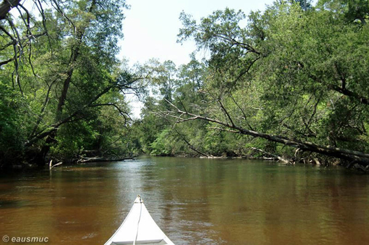 Auf dem Blackwater River